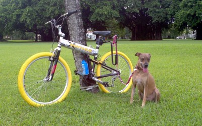 Are you a bike-riding dog lover?